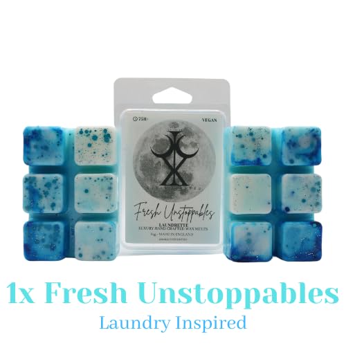 CICIX Wax Melt Bundle Starterpack: Sweet & Laundry. Snow Angel, Fresh Unstoppables, Laundrette, Strawberry and Lily.. 300+ Hours of fragrance. Strong Scented Long Lasting Wax Melts. 340 Grams.