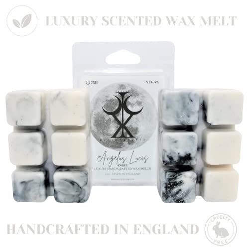 Angel Handmade Luxury Scented Wax Melt Snap bar– 85g Angelus Lucis. Designer Perfume. 75H Burn. Vegan Wax. Highly Scented Candle Alternative for Home and Office. Lasting Fragrance.