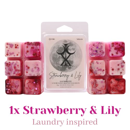 CICIX Wax Melt Bundle Starterpack: Sweet & Laundry. Snow Angel, Fresh Unstoppables, Laundrette, Strawberry and Lily.. 300+ Hours of fragrance. Strong Scented Long Lasting Wax Melts. 340 Grams.