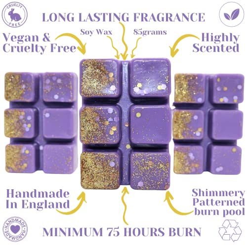 Alien – 85g Handmade Luxury Scented Wax Melt Snapbar. Designer Perfume. Min 75H Burn. Vegan. Highly Scented Candle Alternative for Home and Office. Lasting Fragrance.