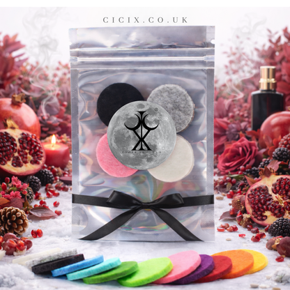 Black Pomegranate Vacuum Freshener Discs