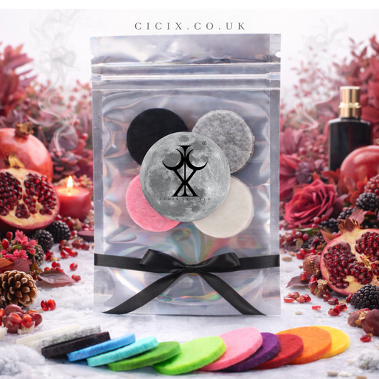Black Pomegranate Vacuum Freshener Discs