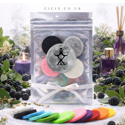 Blackberry & Bay Vacuum Freshener Discs