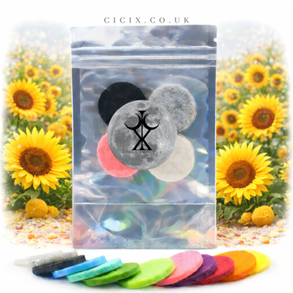 Burst Of Sunshine Vacuum Freshener Discs