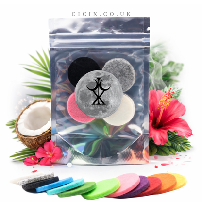 Hibiscus & Coco Vacuum Freshener Discs