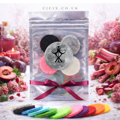Plum & Rhubarb Vacuum Freshener Discs