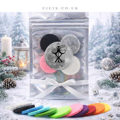 Winter Solstice Vacuum Freshener Discs
